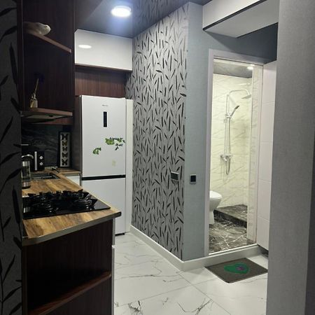 New Apartments In Borjomi Exterior photo